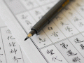 斑马WF-1小楷秀丽笔(黑) 签到笔 签字笔